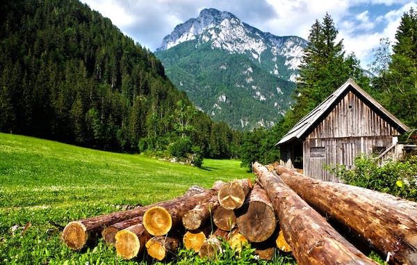Sustainability of Wood - wood cabin