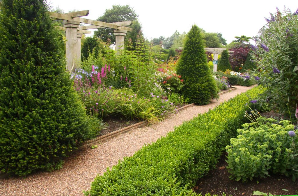 Garden Improvements - clean pathways and cut back plants and shrubs Garden Improvements - clean pathways and cut back plants and shrubs
