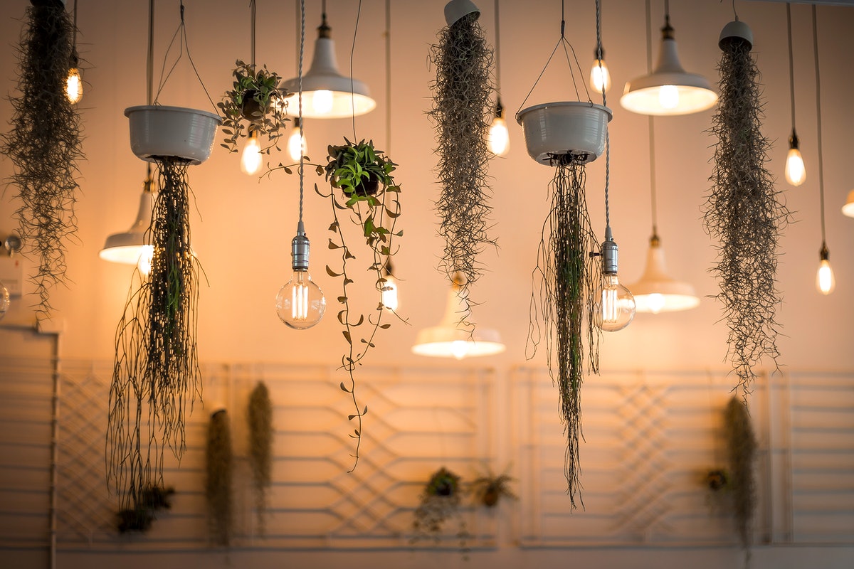 Ceiling Lights - a range of ceiling lights with various projections Ceiling Lights - a range of ceiling lights with various projections