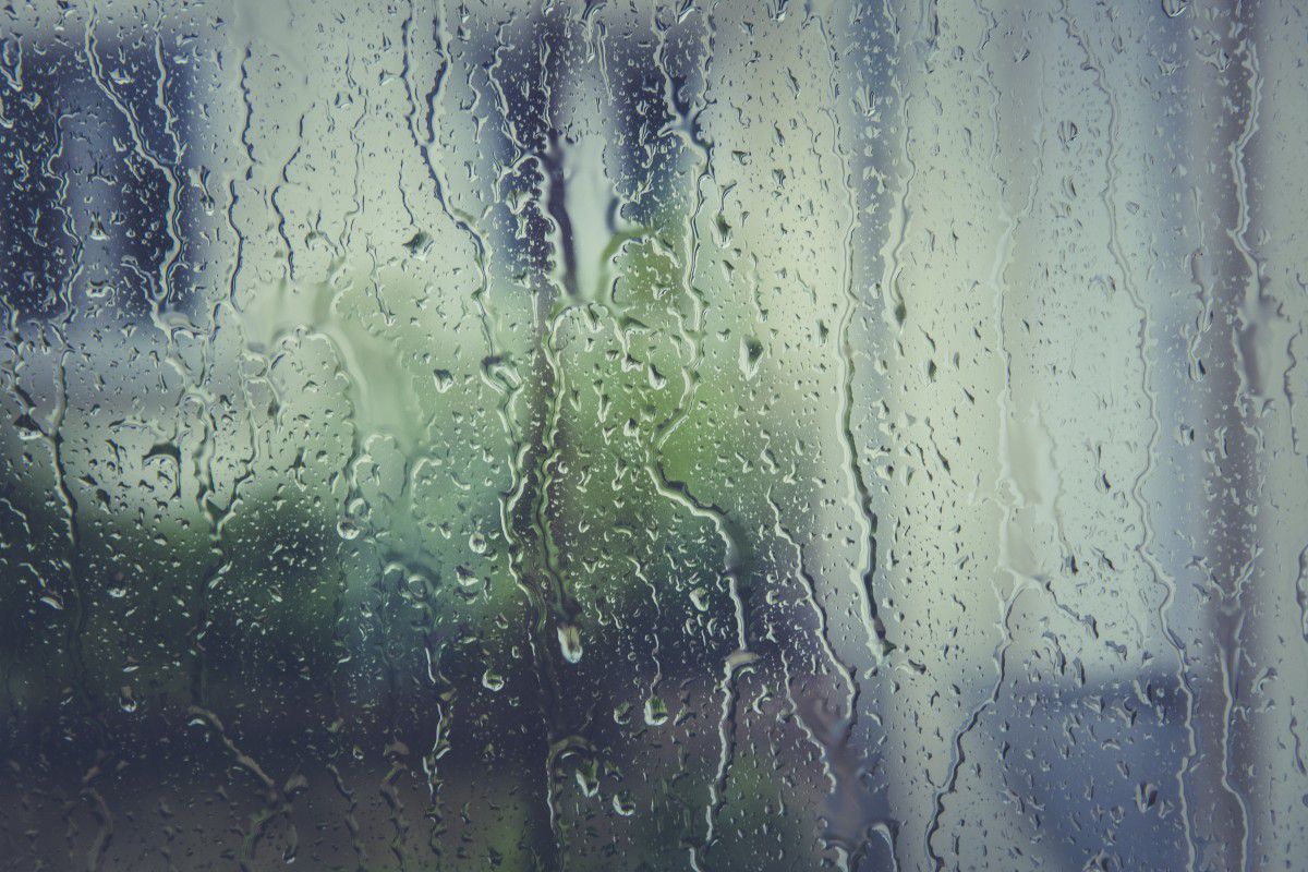 Damp Control - Avoiding Damp is possible by cleaning condensation from windows and regularly checking pipes and insulation for issues Damp Control - Avoiding Damp is possible by cleaning condensation from windows and regularly checking pipes and insulation for issues