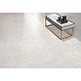 Dry Grain Soft Polished KS60121 Tile
