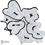 Map Parquet